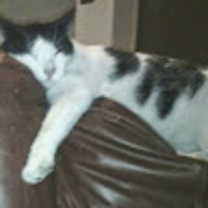 Meet your Posher, Sharon